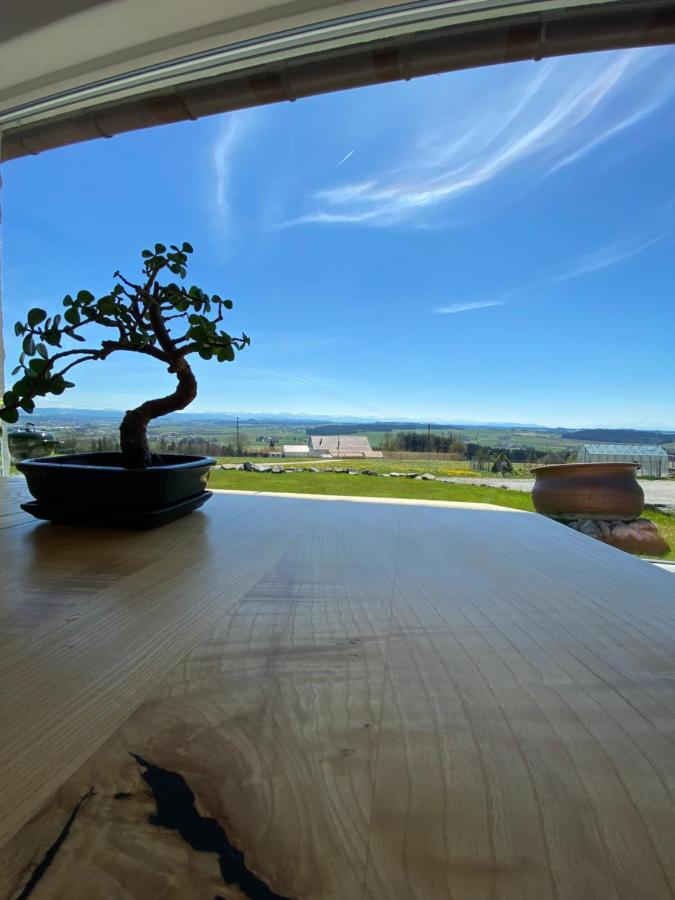 Ferienhaus Alpenblick Auf'M Vorderberg Villa Leutkirch im Allgäu Dış mekan fotoğraf